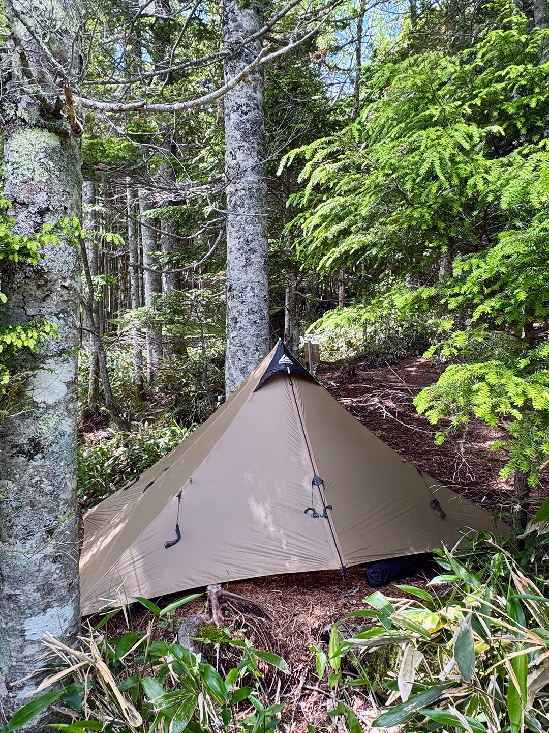 LOCUS GEAR